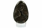 Septarian Dragon Egg Geode - Black Crystals #172816-1